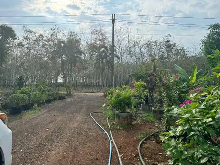 Bán đất nông nghiệp xã Cẩm Đường huyện Long Thành Đồng Nai