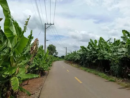 Bán đất 3513.3m² ngang 5m dài 50m giá 250 triệu