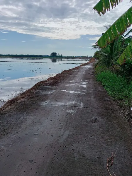 Bán đất 7330,3m² ngang 112m giá 2.8 tỷ Phường Vĩnh Thông