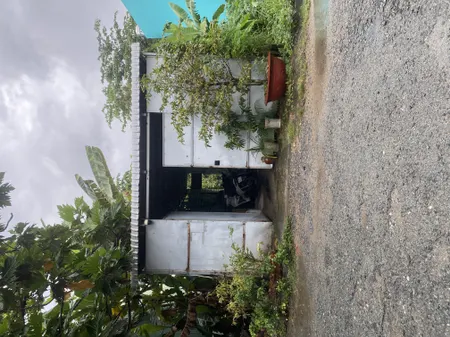 ĐẤT MẶT TIỀN ĐƯỜNG NHỰA 10M XE TẢI 10 TẤN TỚI ĐẤT GẦN TRUNG TÂM TP MỸ THO