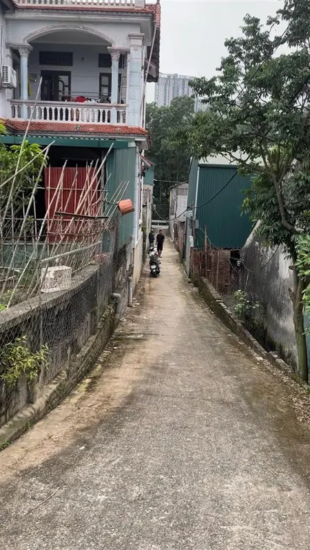 Siêu phẩm đất đẹp thôn 3, xuân quan, văn giang hưng yên 92m mt = hậu 6m