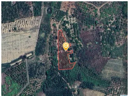 Bán đất 6500.6m² giá 1.35 tỷ Xã Hòa Phu