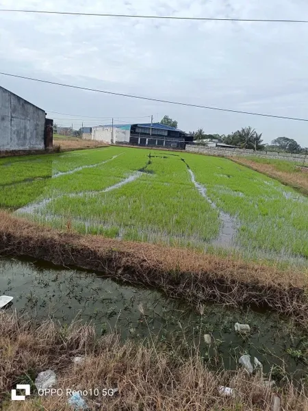 Bán đất 2406.2m² ngang 23m Xã Mỹ Hạnh