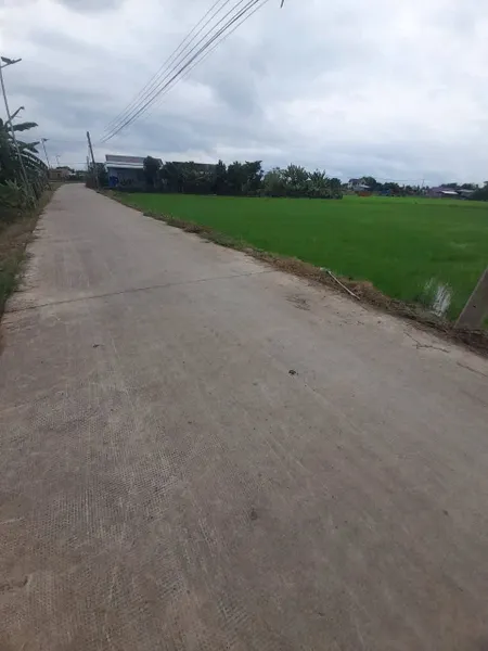 Chính chủ cần bán 1600m lúa + 176m thổ cư tại xã Mỹ Lệ Cần Đước Long An