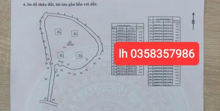 Bán đất 5910m² ngang 100m giá 20.69 tỷ Xã Trung Giã