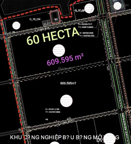 Cần bán 60 ha đất trong kcn bầu bàng bình dương
