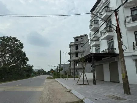 Bên em có lô đất sản xuất 1,3ha cần chuyển nhượng