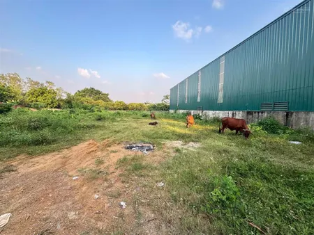 Bán dn melorita hòa lạc 51 triệu, 890m2 ở thạch thất, hà nội, giá siêu hời