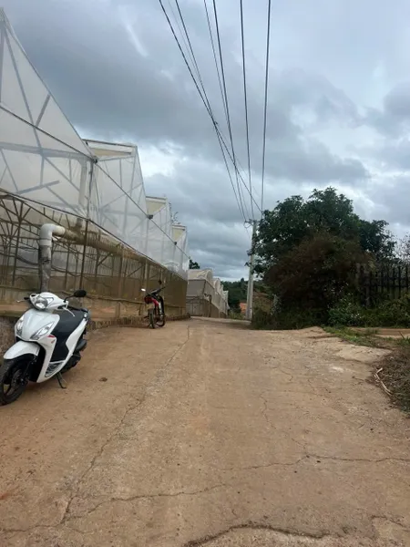 🌄 ĐẤT PHƯỜNG CAMLY FULL THỔ CƯ – VIEW CỰC ĐẸP, MẶT TIỀN 140M – GIÁ CHỈ 4,4 TRIỆU/M²! 🌄