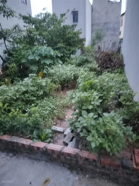 Bán đất 67m2 tại đường 23b, xã nam hồng, đông anh, hà nội, giá cực chất 4,4 tỷ