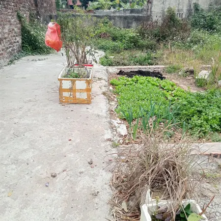 Duy nhất 2 lô thanh oai đất đẹp đường thông ô tô vào nhà, 50 m2, 48 m2 tương lai cạnh vinhom