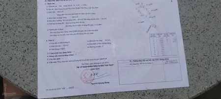 800m2 tại thôn trung tỉnh xã thuỵ liên thái thuỵ tb cạnh khu cn liên hà thái giá 4,5tỷ