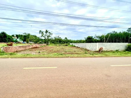 BÁN  2SỔ (11X50=516m2) THỔ CƯ,275TR SÁT ỦY BAN TRƯỜNG, CHỢ CÂY XĂNG NHÀ CỮA SAN SÁT.