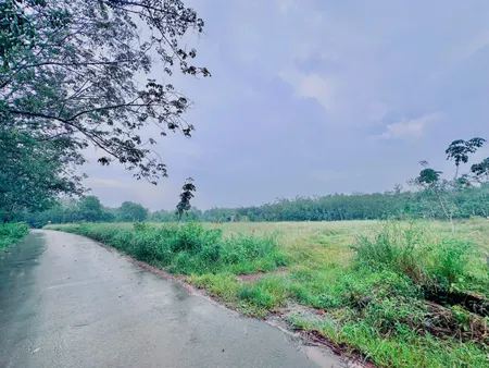 Bán đất 150m²(100mtc) giá 225tr Minh Thạnh,TPHCM