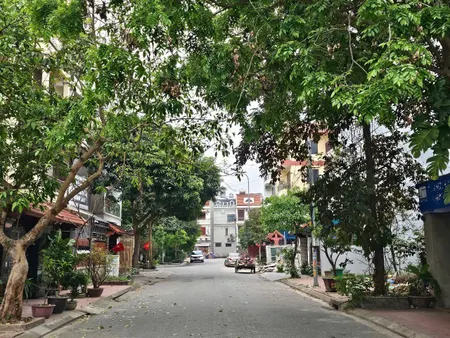 Bán 131m đất dãy NQ1 khu đô thị đại dương. Cạnh công viên hồ điều hoà văn miếu. Làn 2 đường nguyễn quyền đại phúc. Phường võ cường bắc ninh