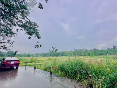 Mặt tiền đường nhựa gần trường TH Minh Hòa ,có 100m2 - shr