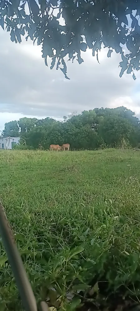 Bán đất 340.2m² ngang 10m giá 100 triệu Phường Cam Ranh