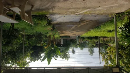 Bán đất 2816.1m² ngang 33m giá 6 tỷ Xã Nha Bích