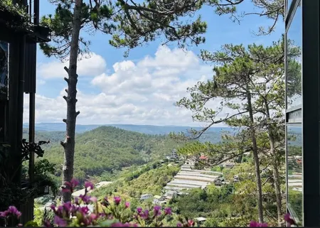 Bán Đất Đà Lạt Tặng View săn mây Triệu Đô 748m2, 48 tỷ (Giá cũ 53 tỷ), Đường Hoàng Hoa Thám