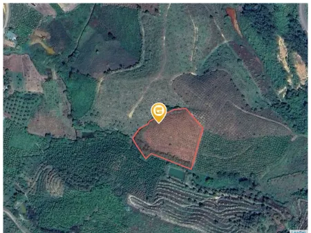 Bán đất 6088.2m² giá 2 tỷ Xã Bảo Lâm 5