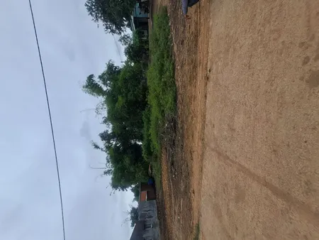 Chính chủ cần bán đất ở