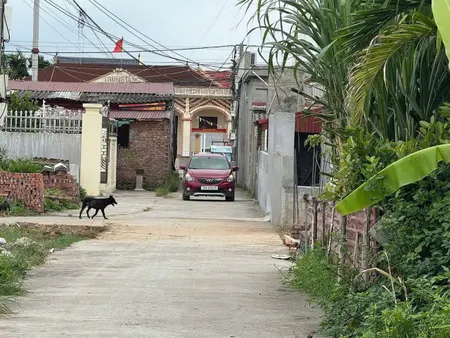 🔥 LÔ GÓC 3 MẶT TIỀN – TUYẾN 2 ĐƯỜNG 402 – CƠ HỘI HIẾM KHÓ TÌM! 🔥