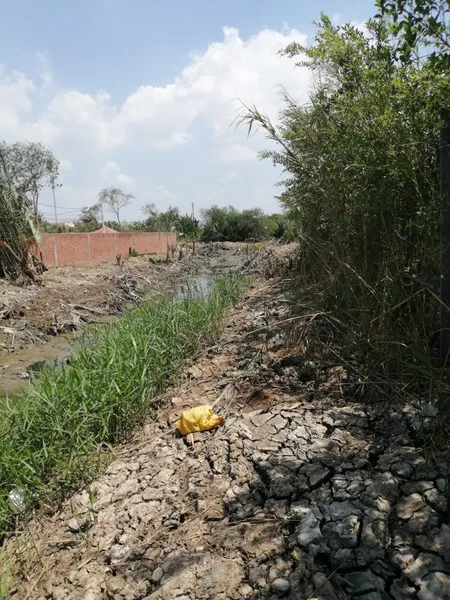 Bán đất nền lớn 3000m2 mặt tiền Phú Xuân, Nhà Bè – Sổ đỏ/sổ hồng chính chủ, vị trí vàng khu dân cư hiện hữu, tiềm năng đầu tư bùng nổ!