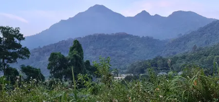 Bán đất 5067.8m² ngang 45m giá 26 tỷ Xã Yên Bài