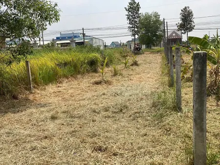 Bán 270m2 (5x54) full thổ, mặt tiền ĐH19, Tân Trạch, Cần Đước, Long An, giá đầu tư