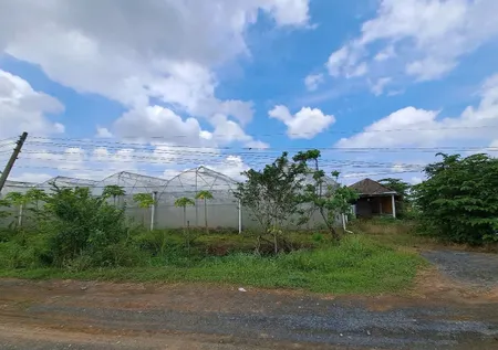 Bán 3270m2 có 300m2 thổ cư, Mỹ Yên, Bến Lức, LA, gần nút giao Mỹ Yên, giá đầu tư