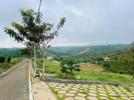 Mở bán lô đất vàng – cơ hội đầu tư hiếm có !! NaLi Chill - Homestay and BBQ