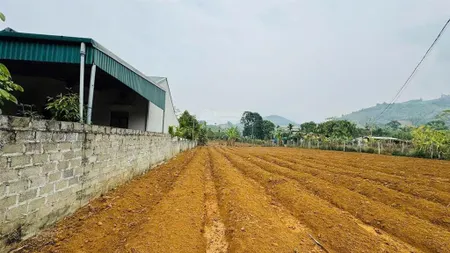 Cơ hội đầu tư vị trí đất đẹp tiềm năng tại hợp phong, cao phong, hoà bình chỉ hơn 500tr