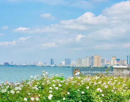 Bán đất tây hồ 285,6/298m2, mt 9,9m, mh 11,6m, ô tô tránh, giá 65 tỷ.