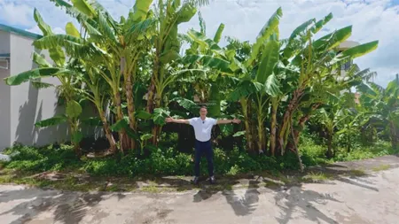 Chính chủ bán 88.5m2, chỉ 1.75 tỷ, mặt tiền 15.7m2 tại trung tâm thị trấn đông hưng