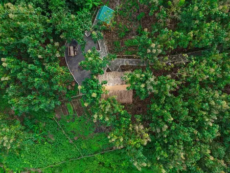 Đất nhà vườn view hồ giáp suối ngang 37m đường bê tông cách ql20 chỉ 400m