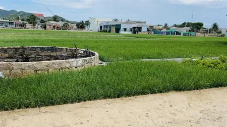 Bán đất gần biển giá đầu tư cách biển 1km
