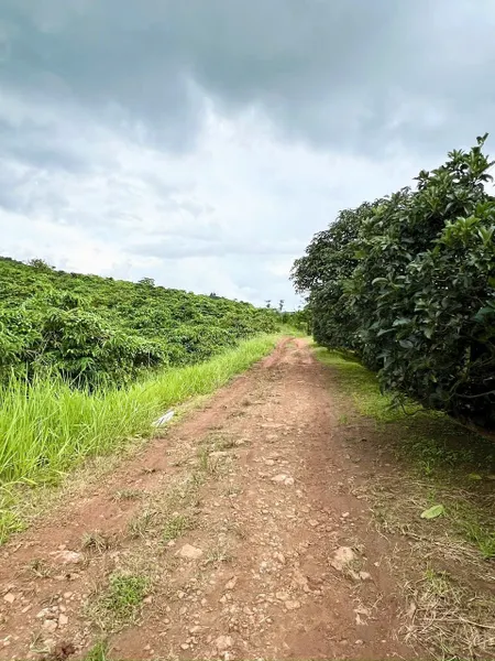 Bán đất 400m² ngang 12m giá 400 triệu Xã Phúc Thọ Lâm Hà