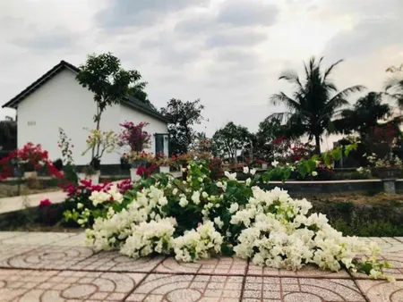 Kẹt tiền trả nh cần bán vườn tâm huyết, cách q2 chỉ 3km. gần 1000m2 giá chỉ 4,7 tỷ
