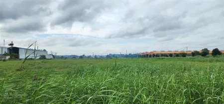 Bán lô đất vị trí đẹp 5000m2 trong kcn đức hòa, long an giá tốt 3,1tr/m2 pháp lý đầy đủ
