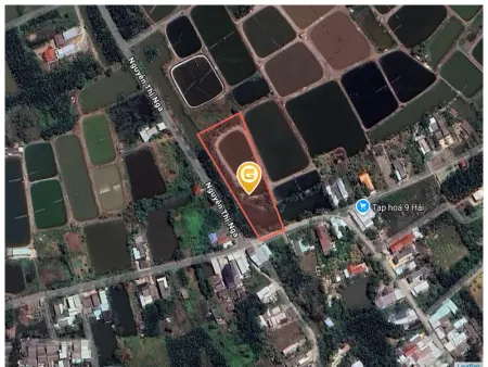Bán đất 4335m² giá 13.01 tỷ Xã Tân Tập