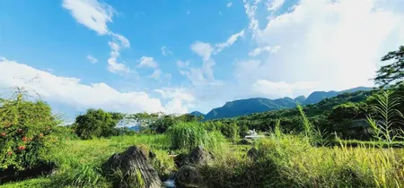 Chính chủ cần bán 1333m view tuyệt đẹp cánh đồng bao quanh thơ mộng tân lạc hòa bình