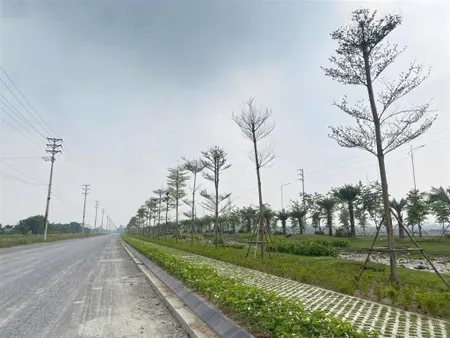 Ccn quý ninh xã an ninh thái bình