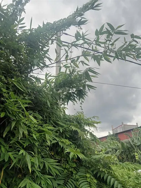 Ccn thống nhất hưng hà thái bình