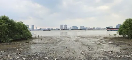 1.348m2 mặt tiền sông sài gòn đối diện quận 7. giá 1.5 tỷ. sổ riêng sang tên trong ngày