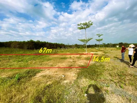 Kẹt tiền bán lô đất dt 1000m2 (14.5x67m) kế bên nhà máy thăng long xanh chỉ 395 triệu