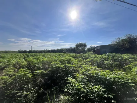 Bán đất 2008m² (100m² thổ cư), mặt tiền 18m xe hơi vào tận nơi xã suối cao, xuân lộc, đồng nai