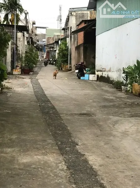 BÁN LÔ ĐẤT DT 7.5M x 23M, BIÊN NHẬN CHÍNH CHỦ, RẺ NHẤT PHƯỜNG TÂN HIỆP.
