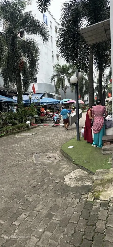 Chính chủ bán căn hộ tầng trệt. thiết kế lửng tận dụng tối đa không gian sống. gọi tắt 2 pn