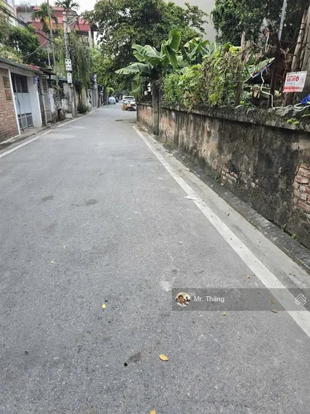 Hoa hậu đông dư bán 154m đất trục chính kinh doanh, mt 7m, ô tô tải tránh nhau, chỉ 15.7 tỷ