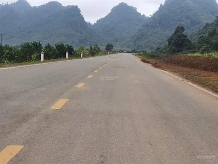 Chính chủ em cần bán 5000m2 mặt đường nhựa mặt tiền 115m